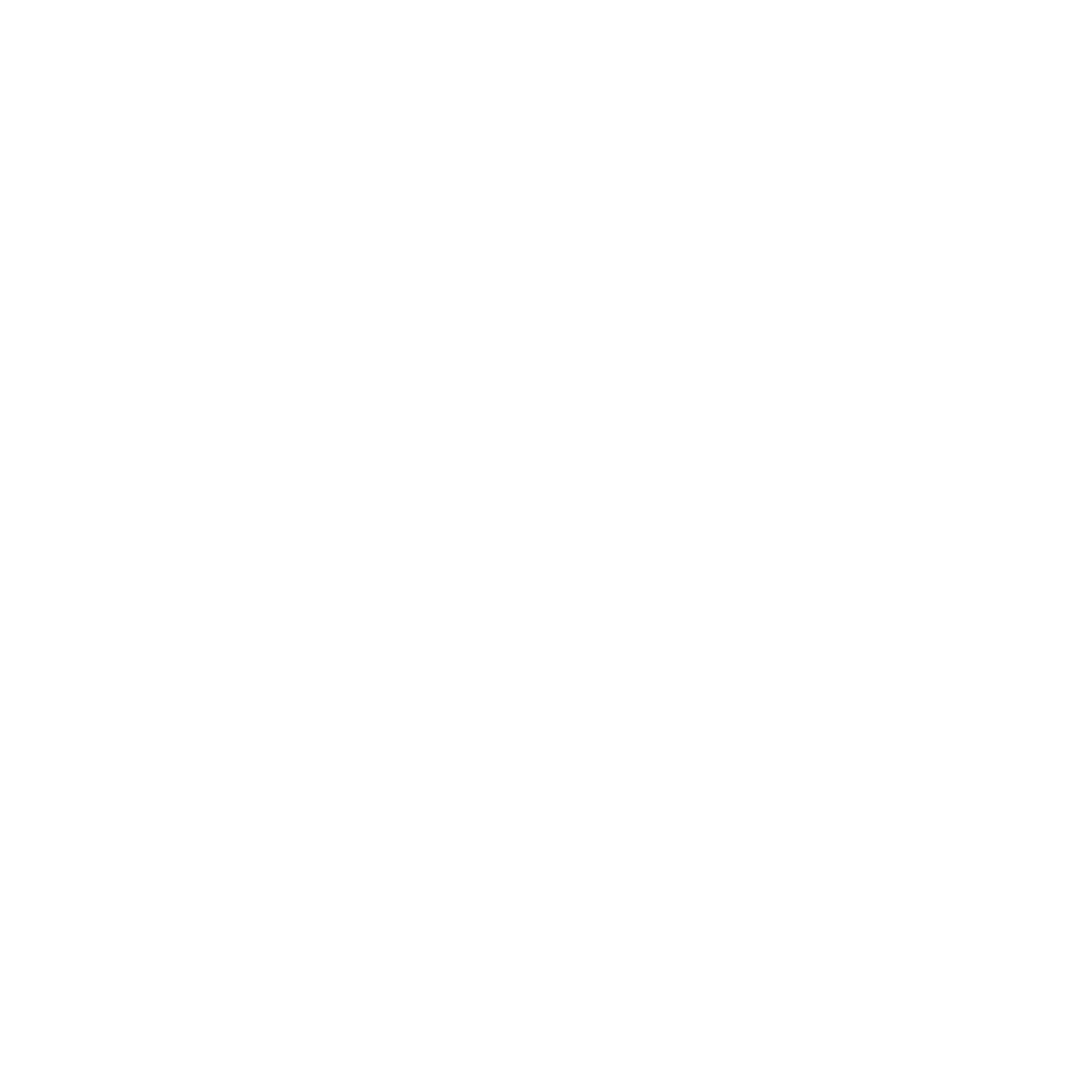 Smiley Face Icon